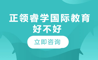 北京正領(lǐng)睿學(xué)國(guó)際教育 以創(chuàng)意策劃服務(wù)賦能未來(lái)教育